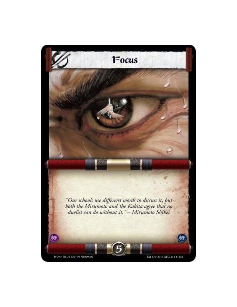 Focus FOIL  -                                           &nbsp;