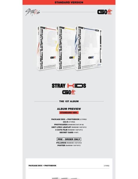 STRAY KIDS - GO: 生 (Standard Edition)  -   Contenido: - Fotolibro (distinto en cada versión) - CD-R (distinto en cada versión) - 2