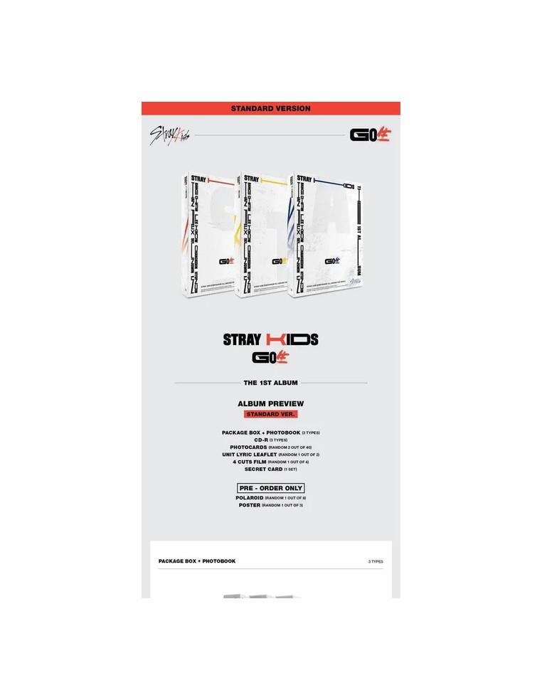 STRAY KIDS - GO: 生 (Standard Edition)  -  Contenido: - Fotolibro (distinto en cada versión) - CD-R (distinto en cada versión) - 
