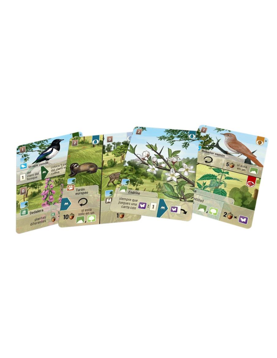 Forest Shuffle Linde del Bosque. Expansión  - La linde entre el bosque y la pradera sirve de hogar para muchas especies y alberg