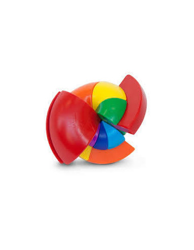 Rainbow Nautilus  - 