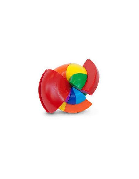 Rainbow Nautilus  - 