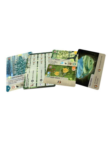 Forest Shuffle Exploration. Expansion (Spanish)  - A world of possibilities awaits you! Embark on a forest expedition and explor