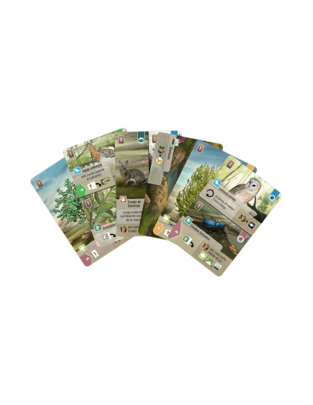 Forest Shuffle Dartmoor  - ¡Crea un hogar único en el páramo para la flora y la fauna! Las tierras de Dartmoor, llenas de colina Forest Shuffle Dartmoor  - ¡Crea un hogar único en el páramo para la flora y la fauna! Las tierras de Dartmoor, llenas de colina