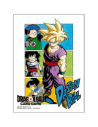Fundas DBS Card Game Son Gohan (64) tamaño estandar  - 