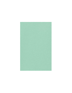 Fundas Dragon Shield Tamaño Japonés (59x86mm) - Eucalyptus Dual Matte (60) 2