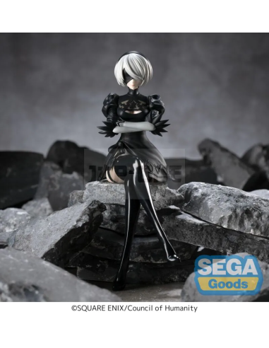 Figura 2B Perching Nier: Automata SEGA