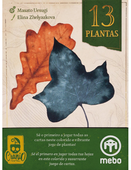 13 Plantas